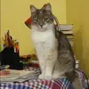 Отзыв от Татьяна Покровская